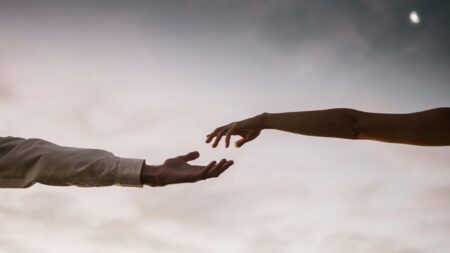 Зображення до статті від Taryn Elliott