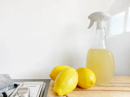 Зображення до статті від Precious Plastic Melbourne