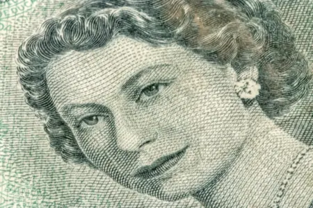 Зображення до статті від Tracey Parish