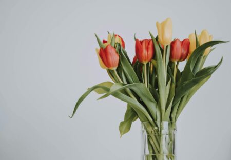 Зображення до статті від lil artsy