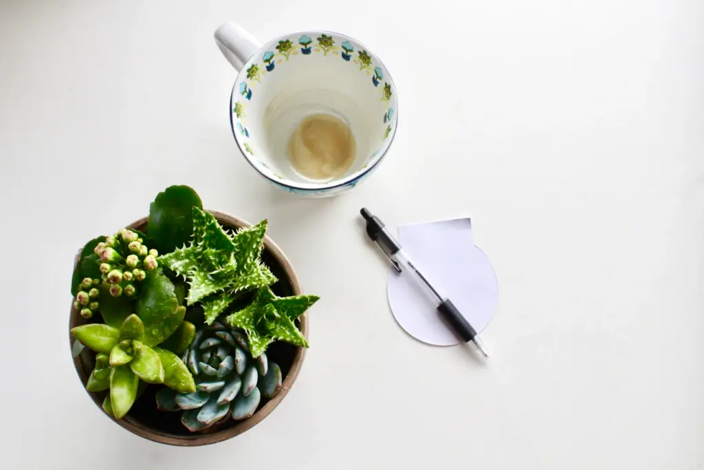 Зображення до статті від Sidney M.