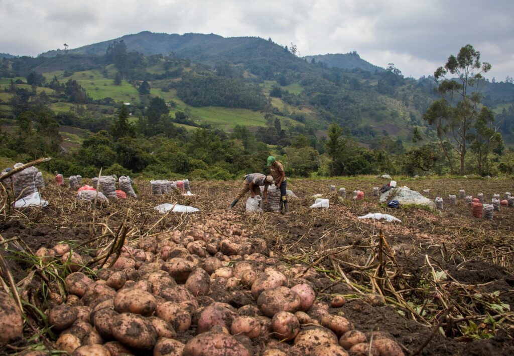 Зображення до статті від Manuel Parra