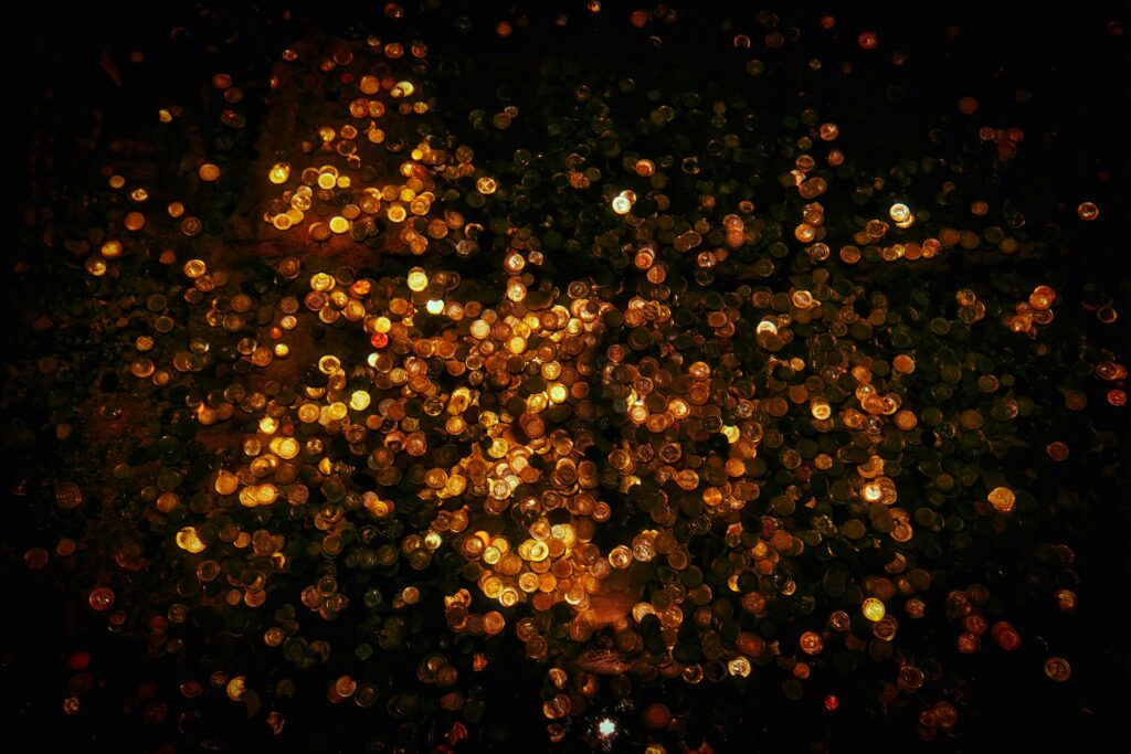 Зображення до статті від Alimurat Üral