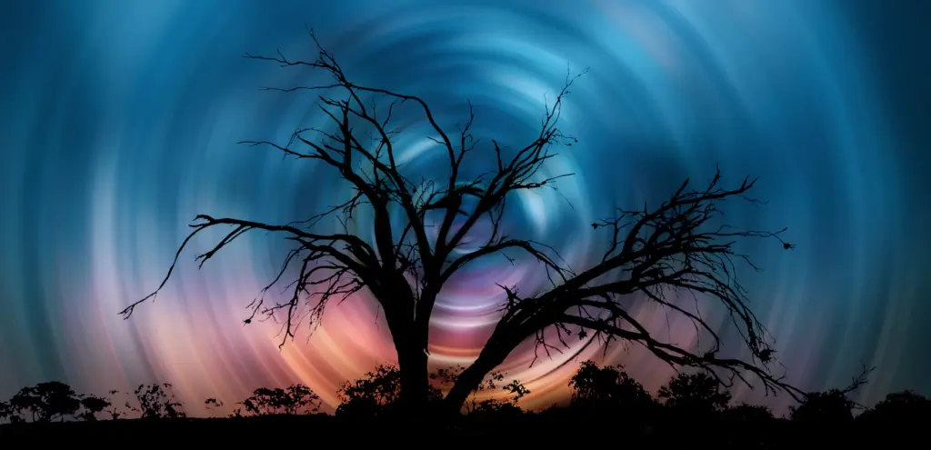 Зображення до статті від Pagie Page