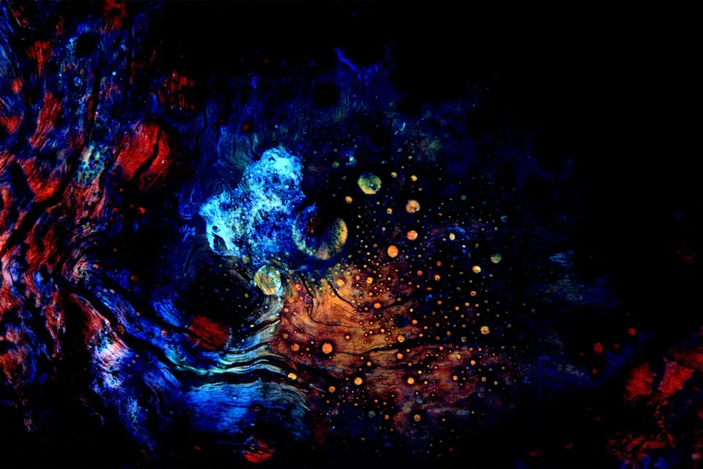 Зображення до статті від Lisa Yount