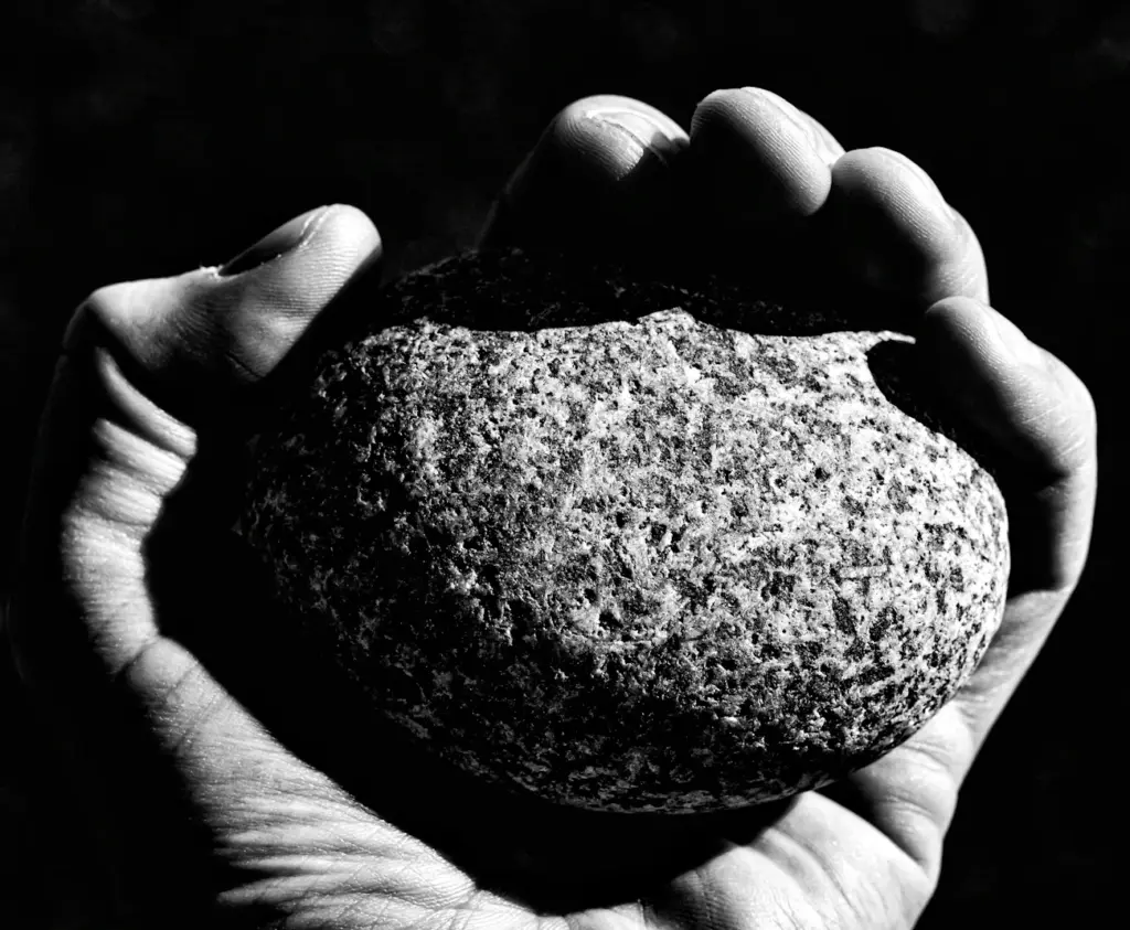 Зображення до статті від Sebastian Schuster