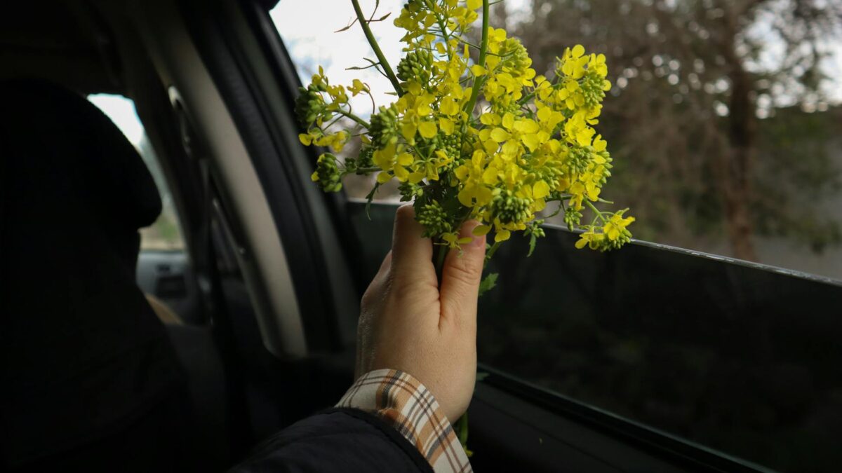 Куди поїхати на травневі вихідні? 7 ідей, які ви точно не гуглили