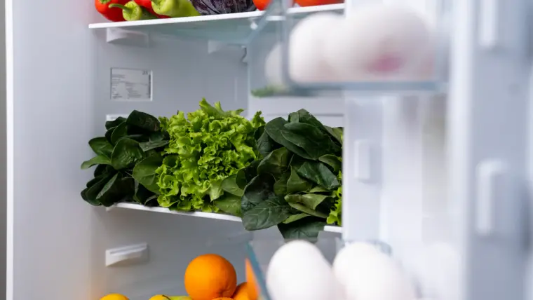 Рулон туалетного паперу в холодильнику: дивний трюк, що рятує продукти і нерви